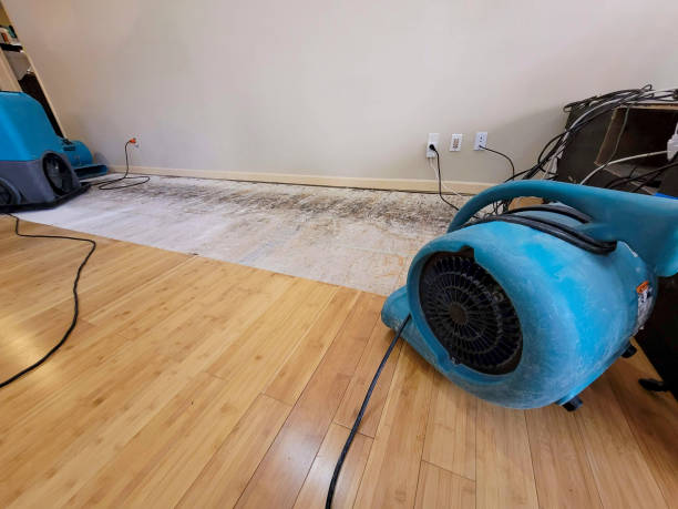 Professional Emergency Water Damage technician working in Crystal Lake, IL